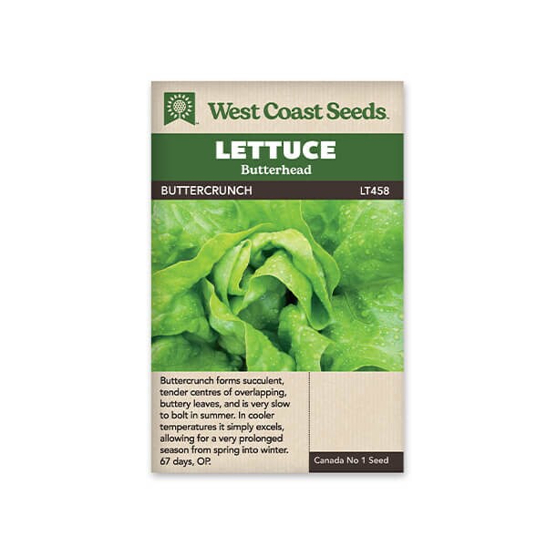 West Coast Seeds Butterhead Lettuce